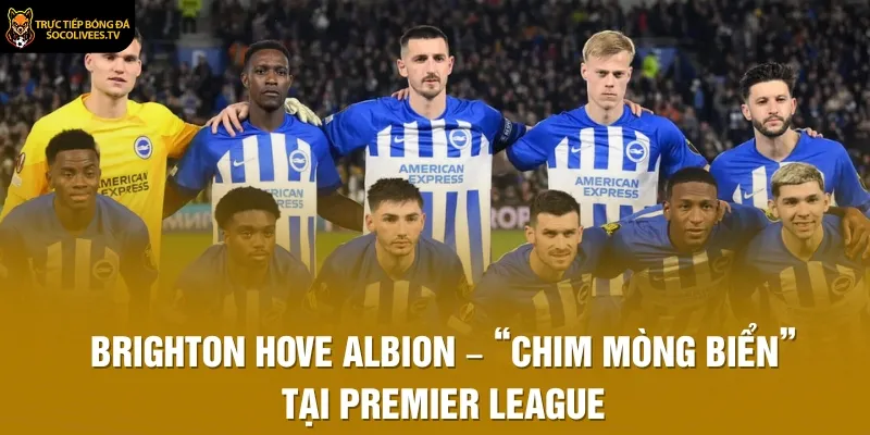 Brighton Hove Albion – “Chim Mòng Biển” Tại Premier League