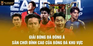 giải bóng đá đông á