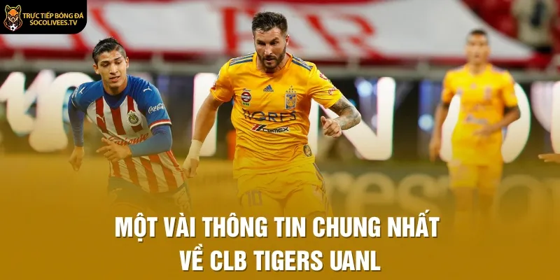 Một vài thông tin chung nhất về CLB Tigers UANL