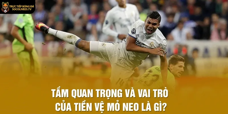 Tầm quan trọng và vai trò của tiền vệ mỏ neo là gì?