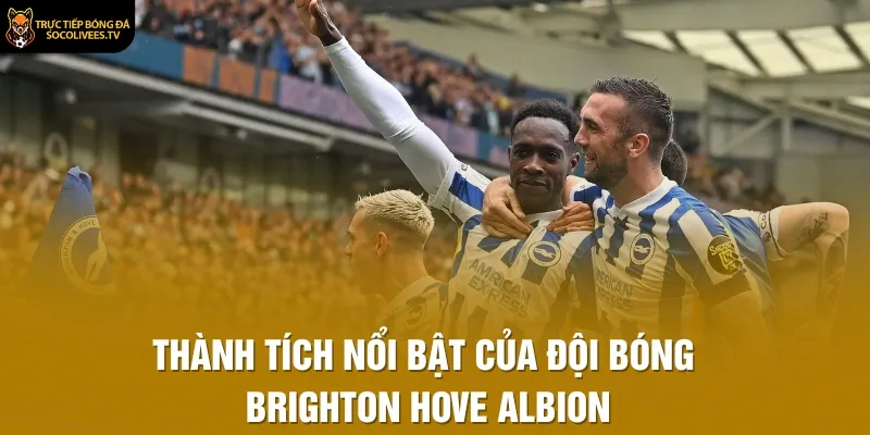 Thành tích nổi bật của đội bóng Brighton Hove Albion