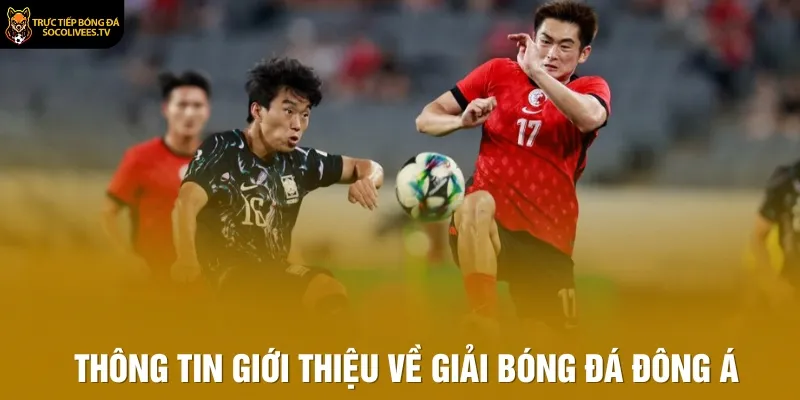 Thông tin giới thiệu về giải bóng đá Đông Á