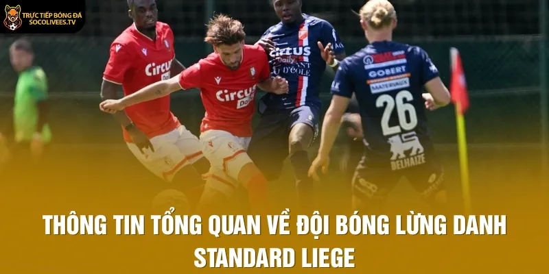 Thông tin tổng quan về đội bóng lừng danh Standard Liege