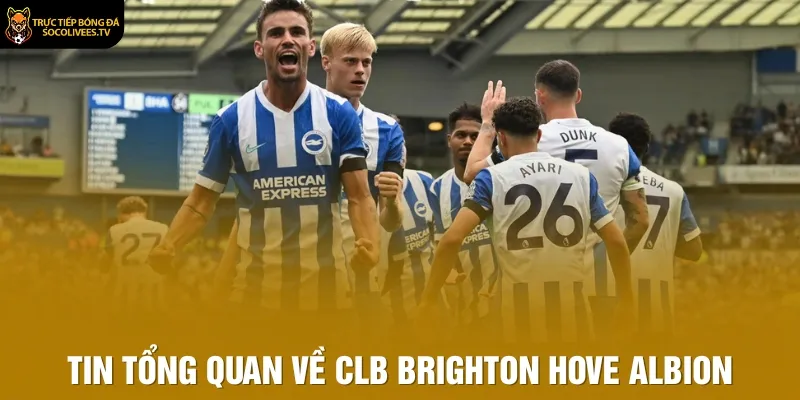 Tin tổng quan về CLB Brighton Hove Albion